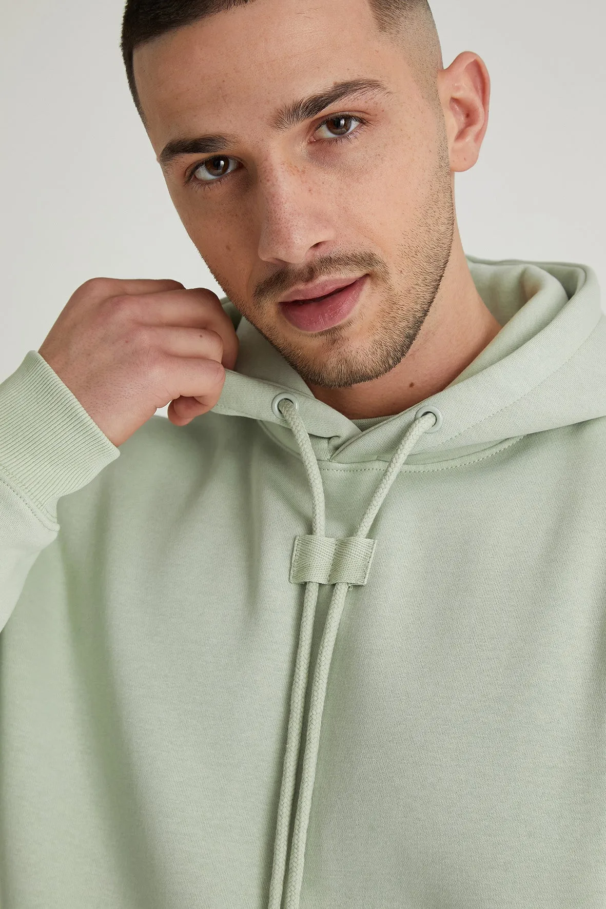 Aldo premium brushback fleece hoodie in Artichoke